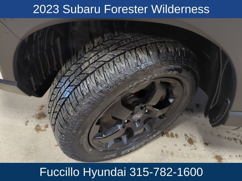 2023 Subaru Forester Wilderness