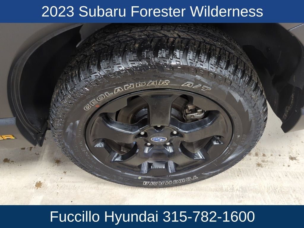2023 Subaru Forester Wilderness