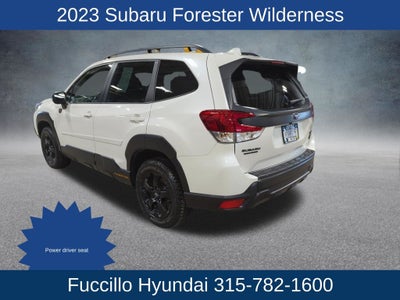 2023 Subaru Forester Wilderness