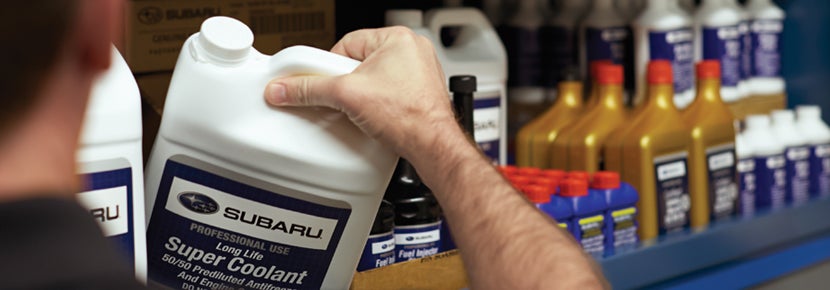 Picture of Subaru Super Coolant. | Fuccillo Subaru in Watertown NY