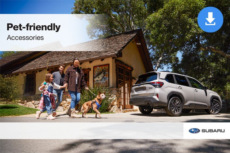 Fuccillo Subaru in Watertown NY