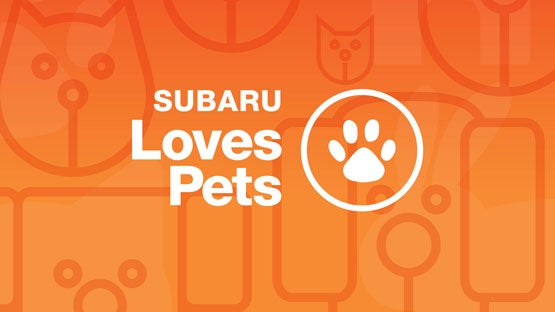 Fuccillo Subaru in Watertown NY