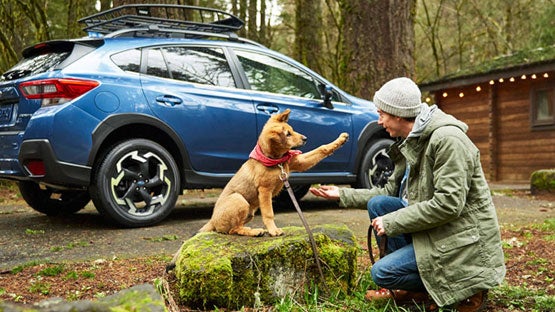 Fuccillo Subaru in Watertown NY